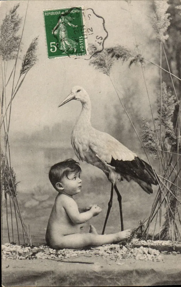 Criança e coruja — cena natural — P.F.B. Série 2947 - Frente