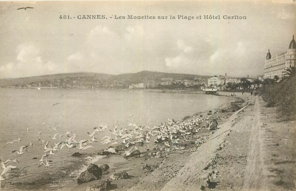 CANNES - Möwen am Strand und Hotel Carlton — Ausgabe G. Baudouin, Nr. 481 - Vorderseite