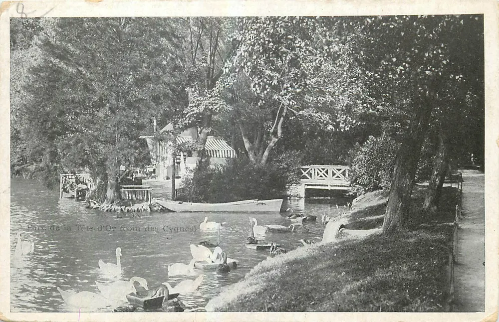 Park der Tête-d'Or in Lyon — Schwäne — Verleger Lyon - Vorderseite