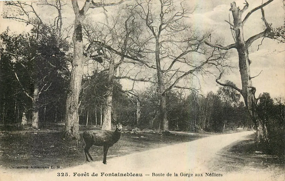 Wald von Fontainebleau — Route de la Gorge aux Néfliers — Künstlerkollektion L. M. n° 325 - Vorderseite