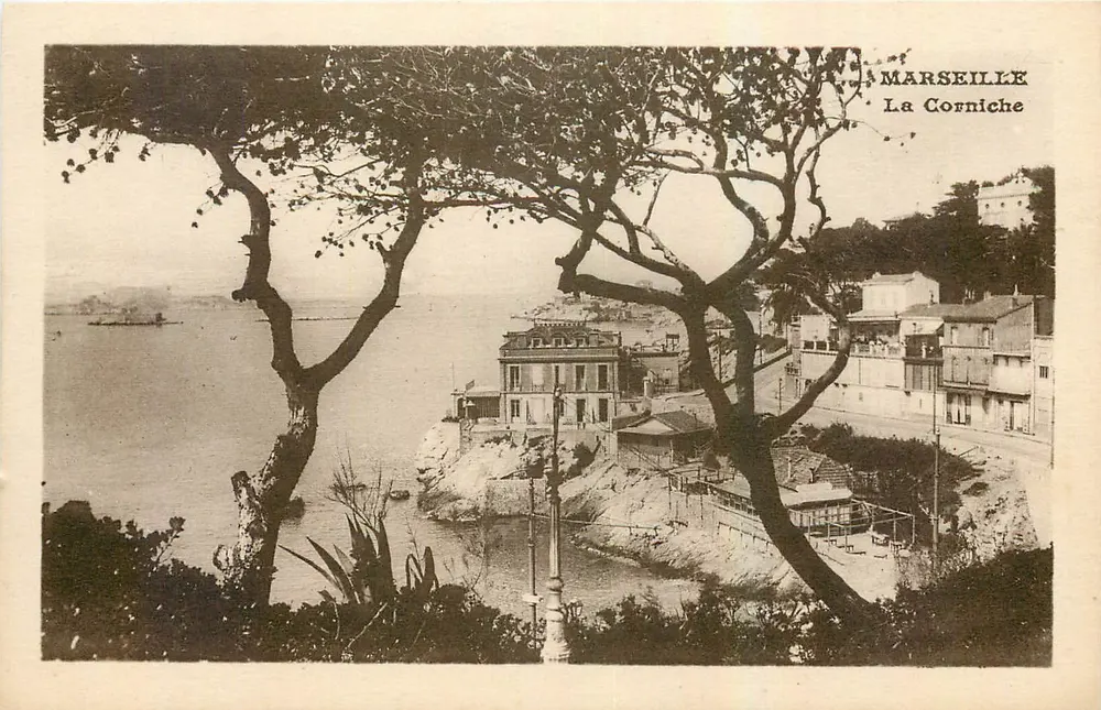 Marselha — A Corniche — vista de uma árvore - Frente