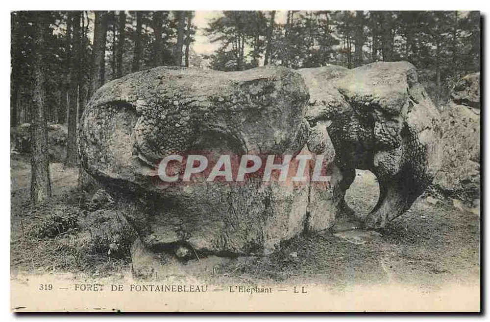 Floresta de Fontainebleau — O Elefante — L.L. — n°319 - Frente