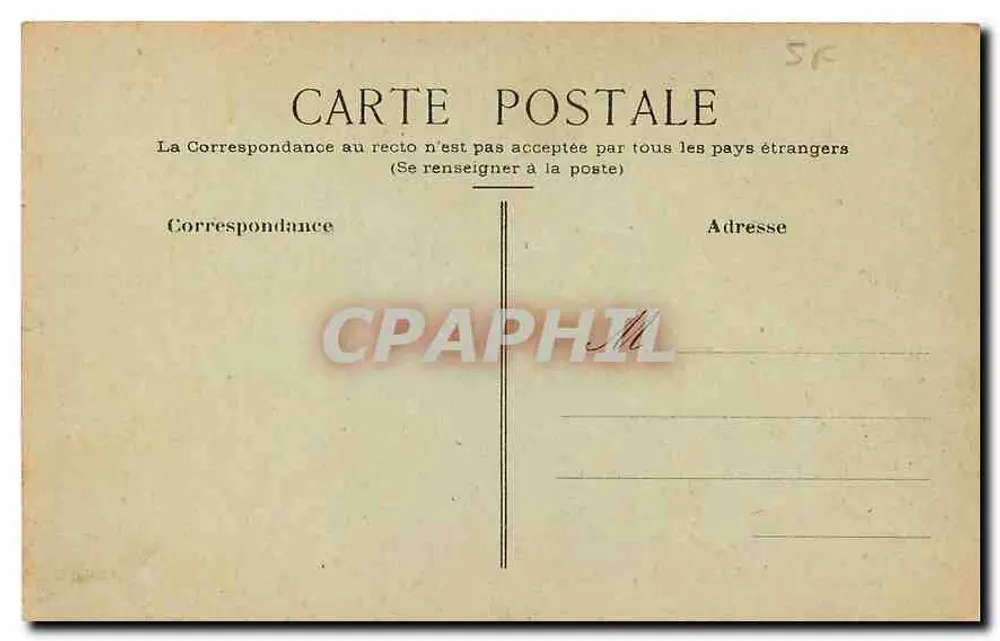 Violette bloemen — Gelukkig Nieuwjaar — Postkaart - Achterkant