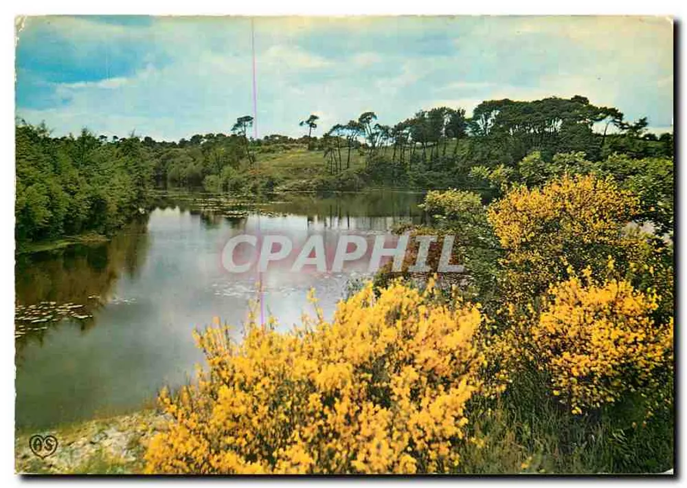 Blue Pond — Forest and River of France — AS - Front