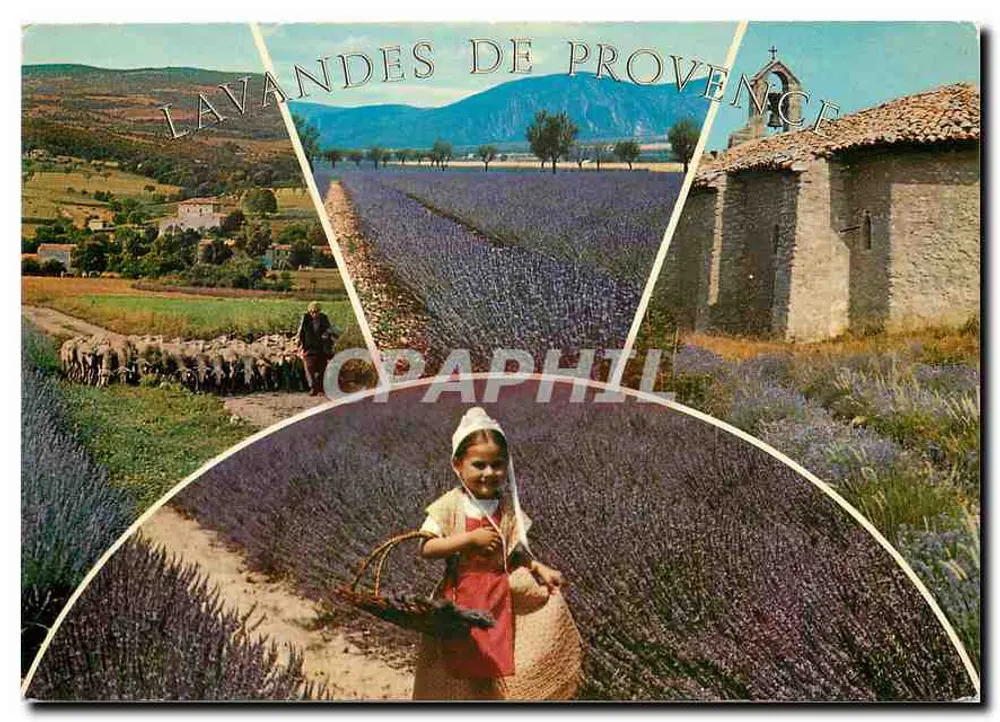 Lavandas da Provência — Éditions de Provence G.A.L. — n° 4235 - Frente