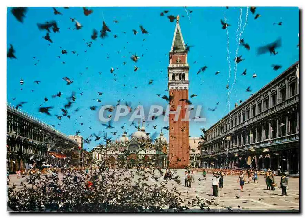 Piazza San Marco — Volta de pombos — Ed. G.F. Zerella n°101 - Frente