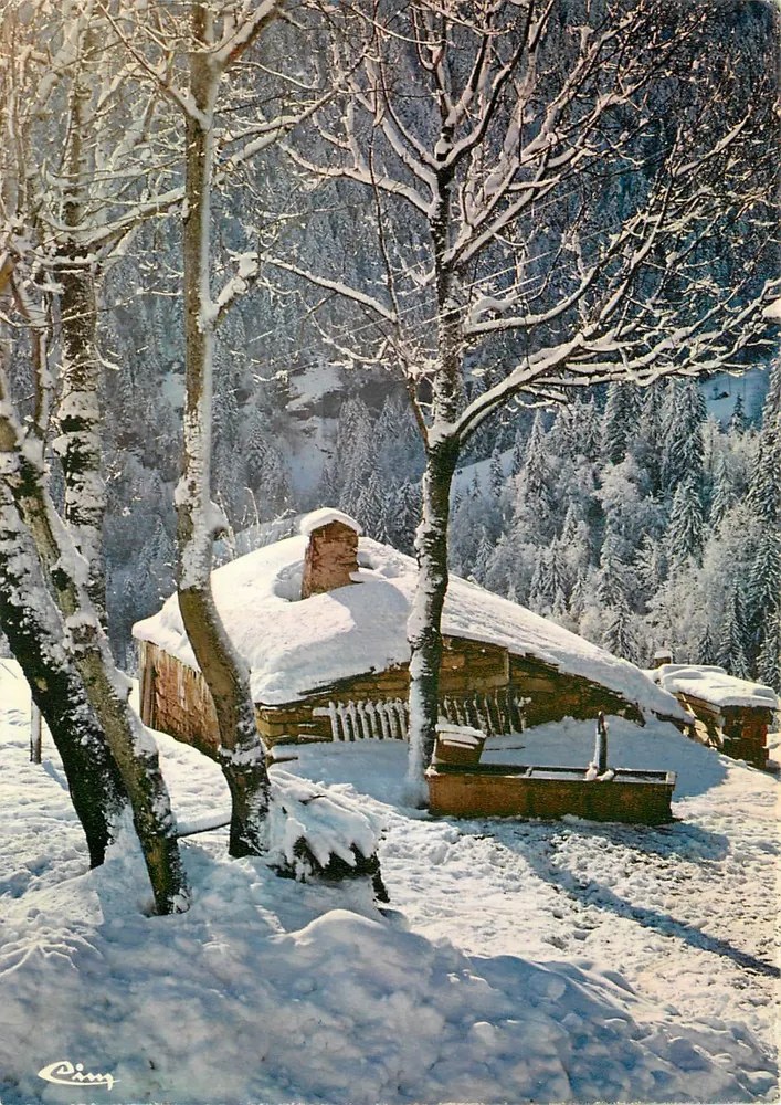 Snowy Chalet — Mountain — C. PING - Front
