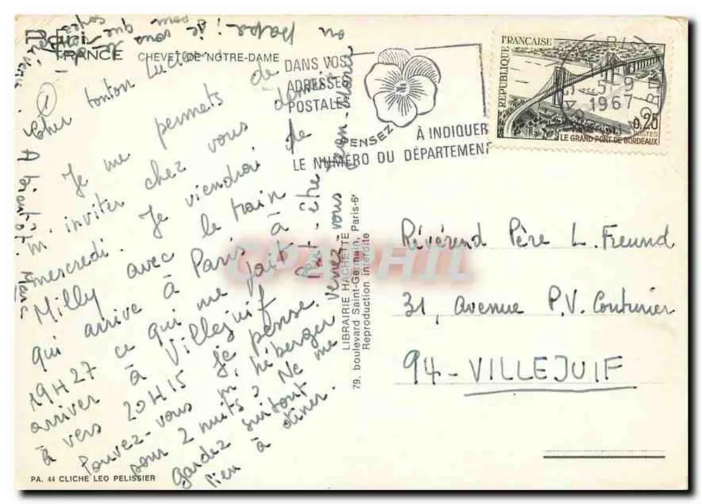 Notre-Dame de Paris — vista do jardim com tulipas — Livraria Hachette - Verso