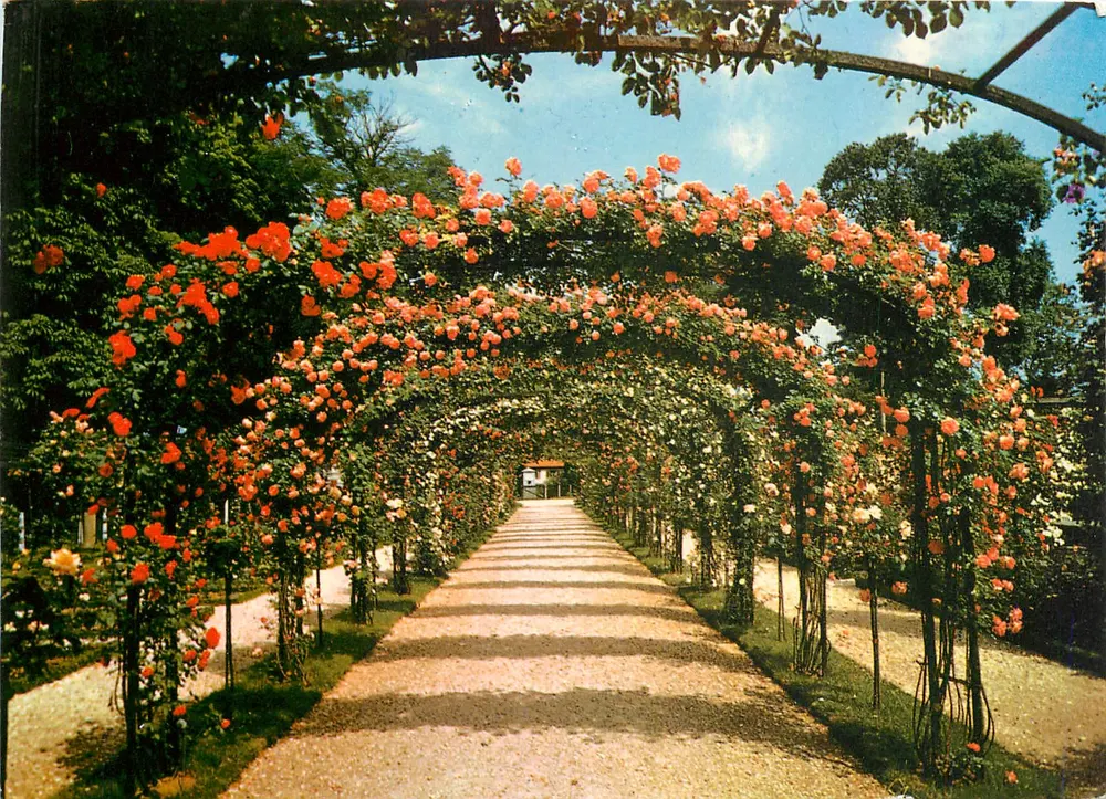 L'HAY-les-ROSES — Die Rosenanlage — Éditions Raymond - Vorderseite