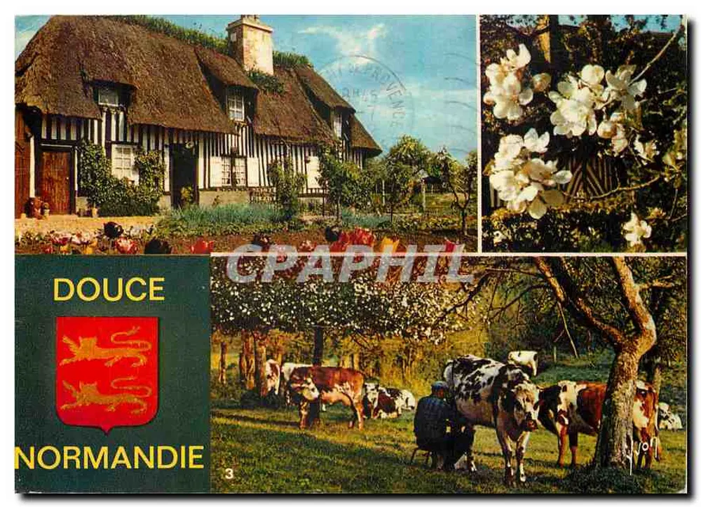 Zärtliche Normandie — Landschaft mit Holzhaus-Farm und Kühen — Éditions d'Art Yvon, n°3 - Vorderseite
