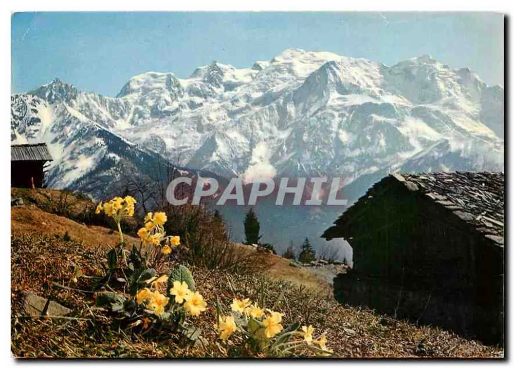 Mont-Blanc — Panoramablick — Éditions G. Rossignol, Nr. 7575 - Vorderseite