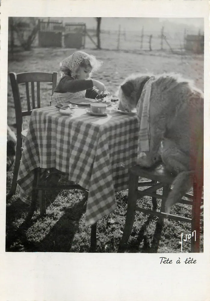 Enfant et chien partageant un repas — 'Tête à tête' — Les Éditions d'Art Monique et Mirettes, F.I.B. 64 - Recto