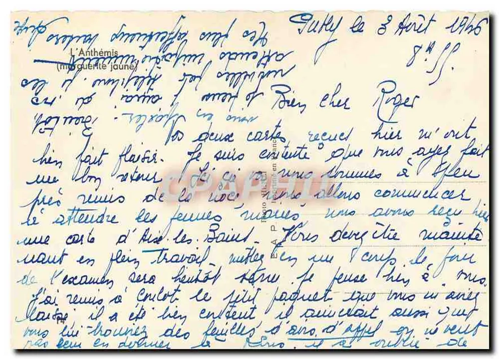 अंथेमिस के फूल - (पीली मार्गरीटा) - प्रकाशक अदृश्य - पीछे