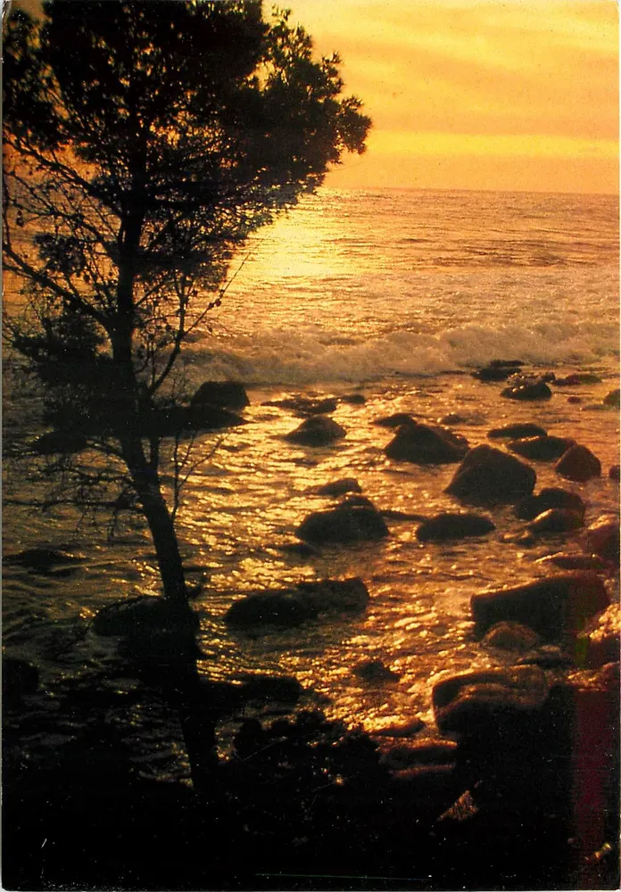 Costa Azul — Pôr do sol em La Seyne-sur-Mer — Edições AZUR RIVIERA n°5314 - Frente