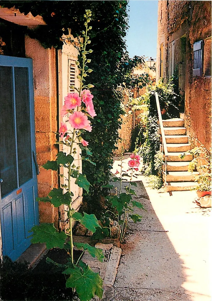 Saint-Saturnin-lès-Apt — Vieille rue de Provence — Éditions G.A.L. n° 8173 - Recto