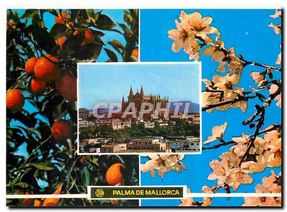 Palma de Mallorca — panoramic view and flowers - Front