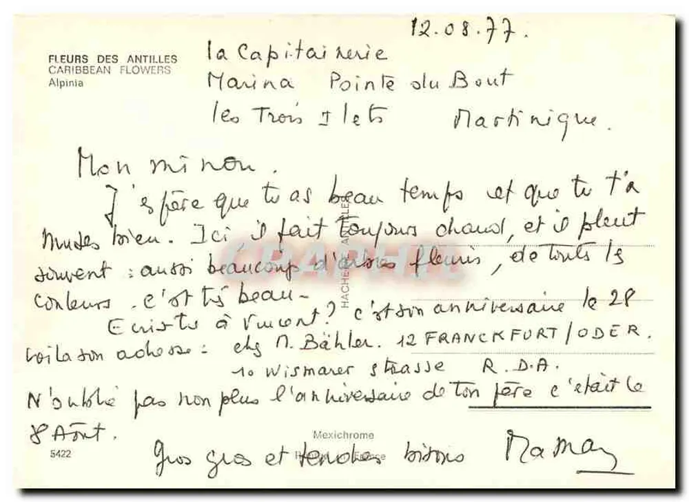 Flor de Alpinia — FLEURS DES ANTILLES — editor IRIS, n°5422 - Verso