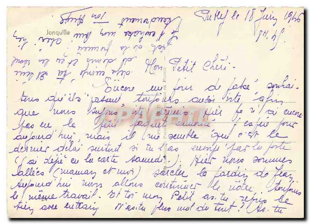फूले हुए नार्सिसेस — काले और सफेद फोटोग्राफी — जॉन्किल, फ्रांस - पीछे