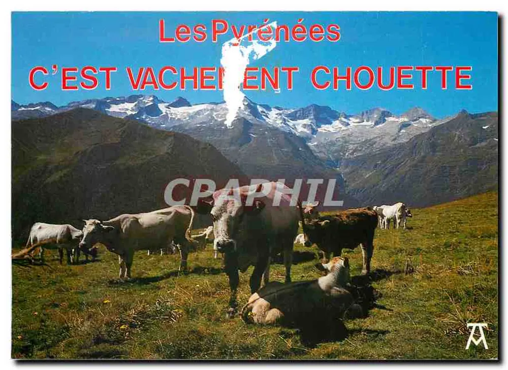 पायरीनीज — यह बहुत अच्छा है — एर्टवर, पौ - आगे
