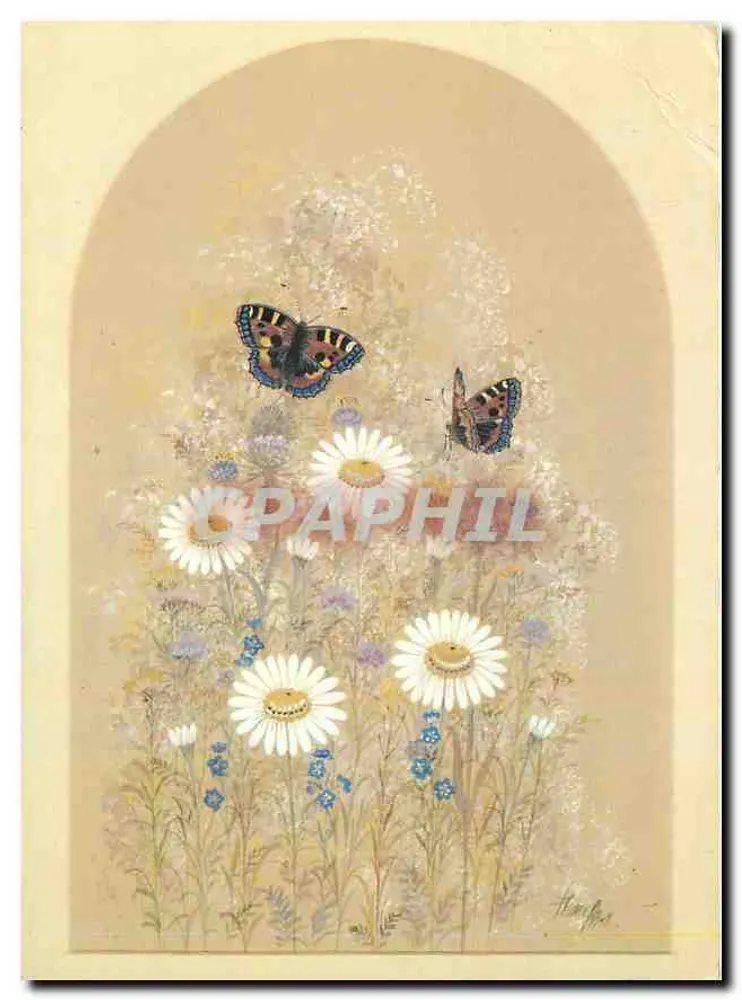 Daisies — com borboletas — Diane Elson, Graphica AB, impressa na Suécia 1984 - Frente