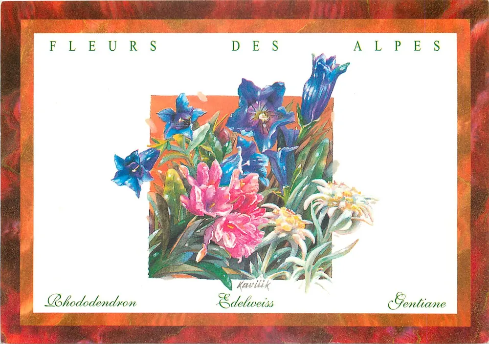 Flores das Alpes — Rhododendron, Edelweiss, Gentiane — Éditions KAVIÏIK - Frente