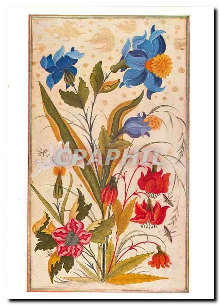 Flores exóticas com insetos — pintura mogol, c. 1635 — álbum de Dara Shikoh — editor EBS - Frente