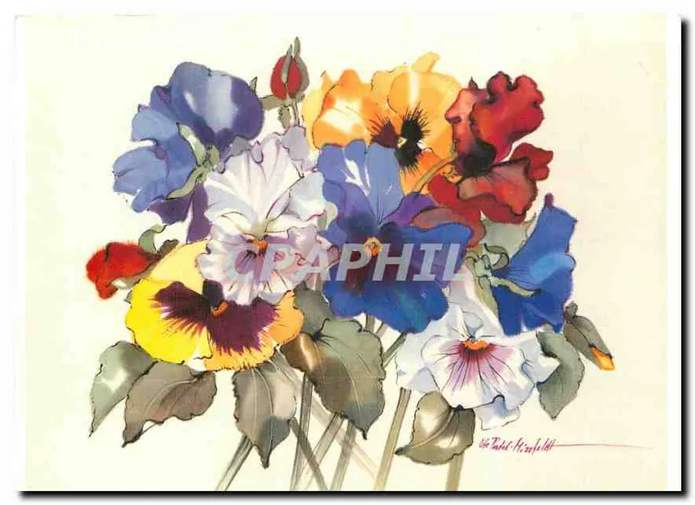 Bouquet de pensées colorées — aquarelle — Ute Patel-Missfeldt - Recto