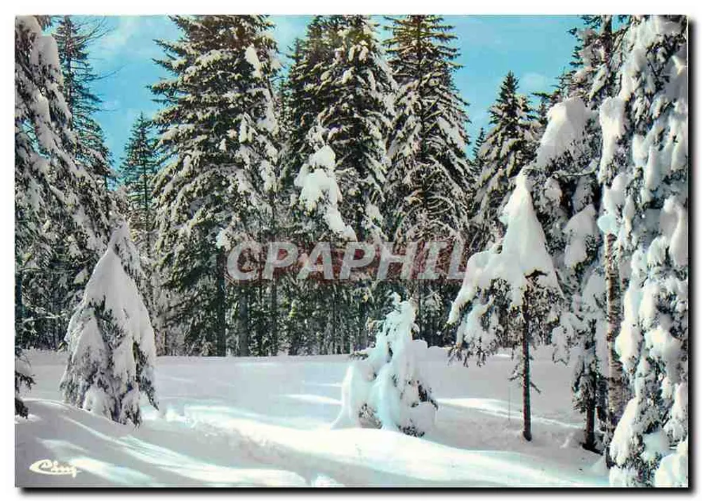 बर्फ से ढके जंगल — प्यू-डे-डोम — एडिटर हेलियो, संख्या A Cl. 48 - आगे