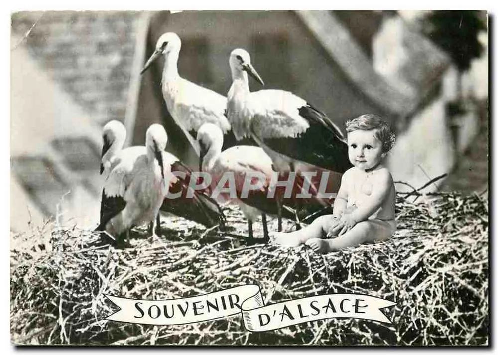 Babbel en kikvors — Souvenir d'Alsace — Ed. « La Chrone », n° 67.567.205 - Voorkant