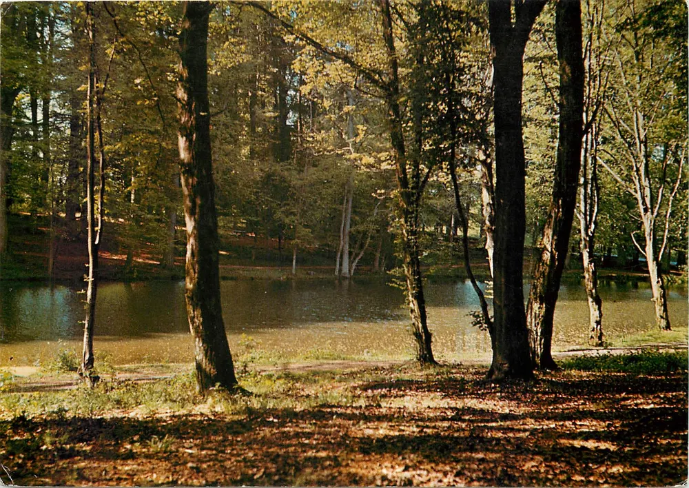 Floresta de MORMAL — Lago do Camp David — Édition de l'Europe, n°1468 - Frente