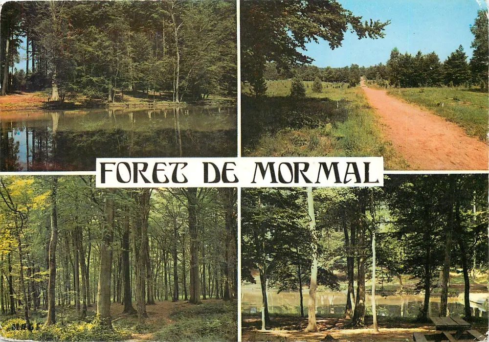 Floresta de Mormal — paisagem florestal — Edições MAGE - Frente