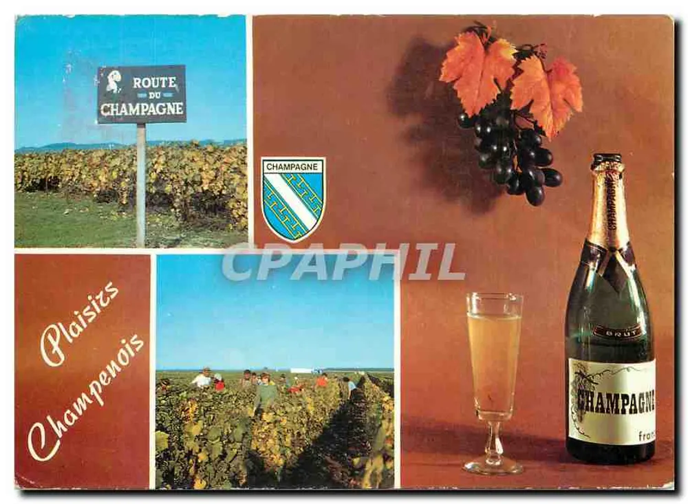 Route du Champagne — Plaisirs Champenois — Éditeur : Plaisirs Champenois - Recto