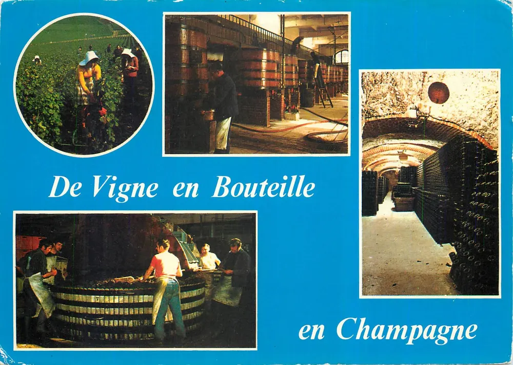 De Vigne en Bouteille en Champagne — Éditions "La Cigogne" - Recto