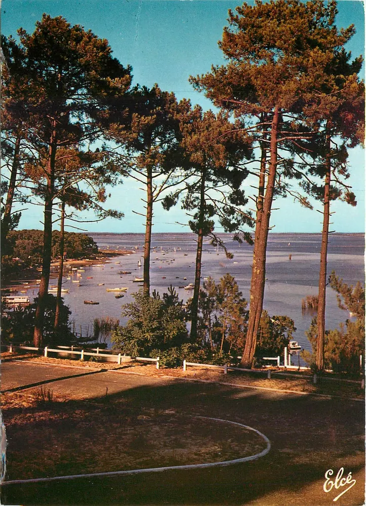 Bassin d'Arcachon — Aussicht von einem Weg, gesäumt von Kiefern — Verlag Elcés - Vorderseite
