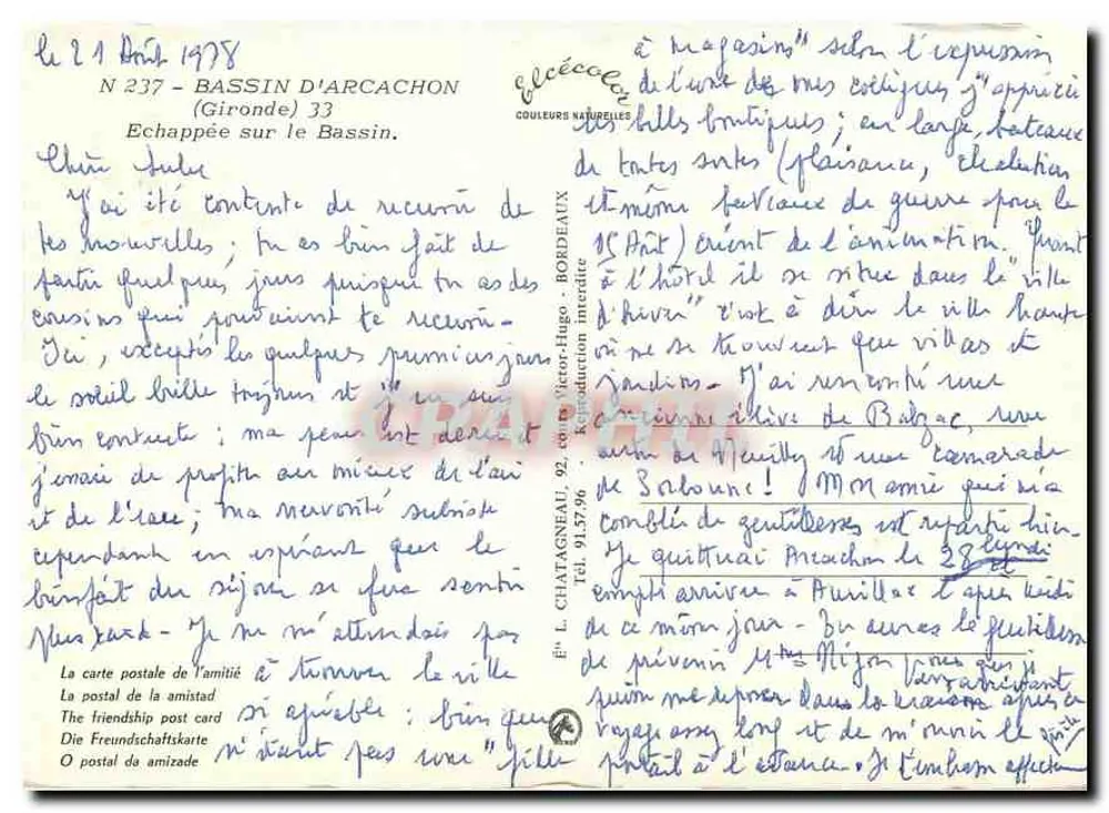 Bassin d'Arcachon — Aussicht von einem Weg, gesäumt von Kiefern — Verlag Elcés - Rückseite