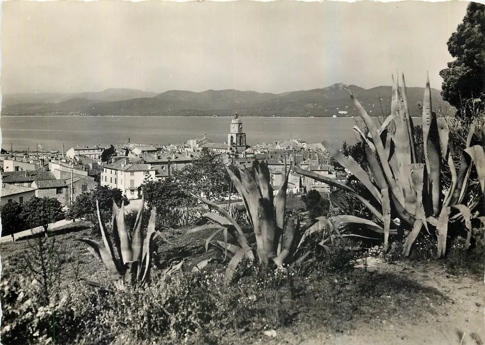 Saint-Tropez (Var) — Vue générale — Société Éditions de France, Collection KOLINER - Recto