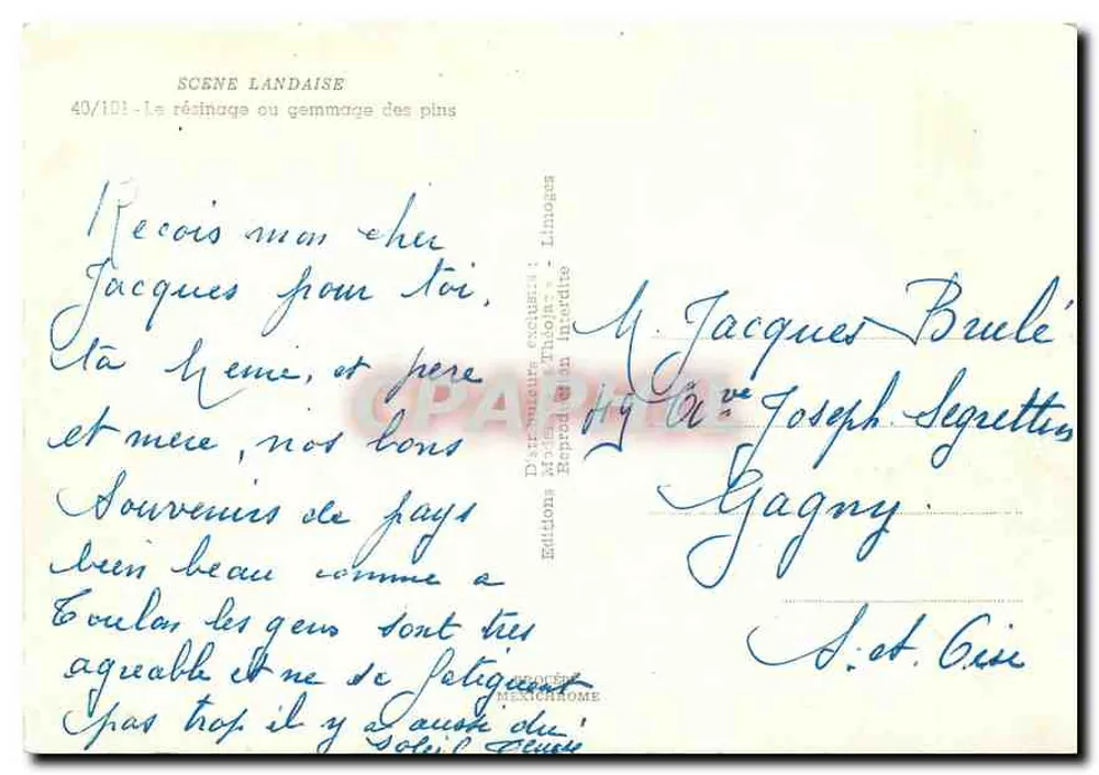 Scène landaise — Le résinage ou gemmage des pins — Éditions D'Arnaud, Limoges, n° 40/101 - Verso