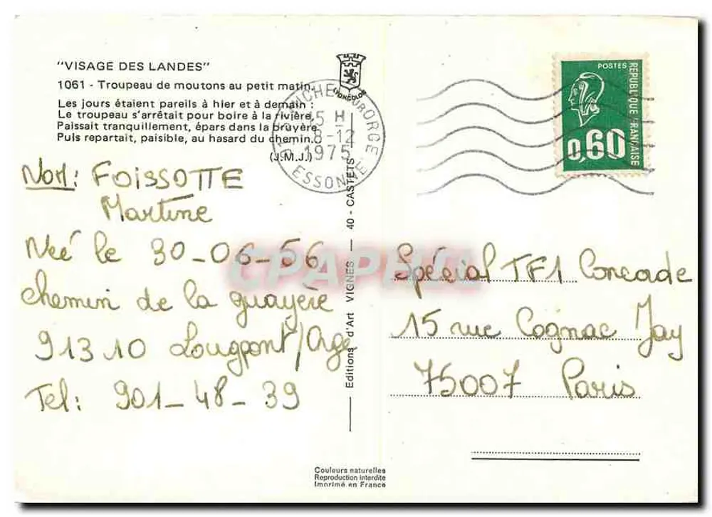 Visage des Landes — Herde Schafe am Morgen — Vignes - Rückseite