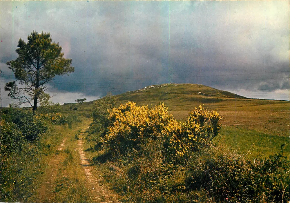 Die Monts d'Arrée — Frühling auf dem Mont-Saint-Michel — B. 3296 - Vorderseite