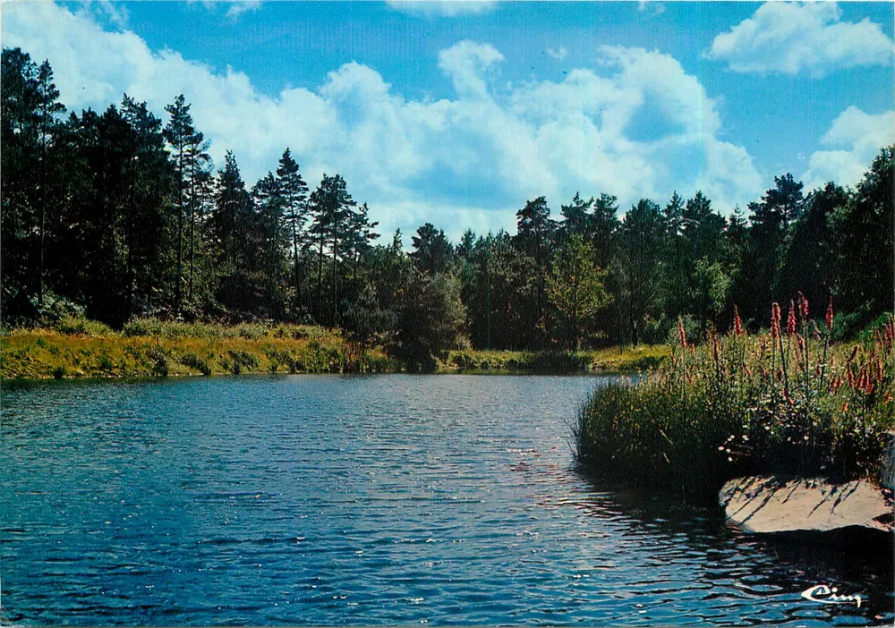 Paimpont (Ille-et-Vilaine) — Fontaine de la Fée Viviane, Étang de la Marette — Verlag: Laures-Doc Ouest-Clédon - Vorderseite