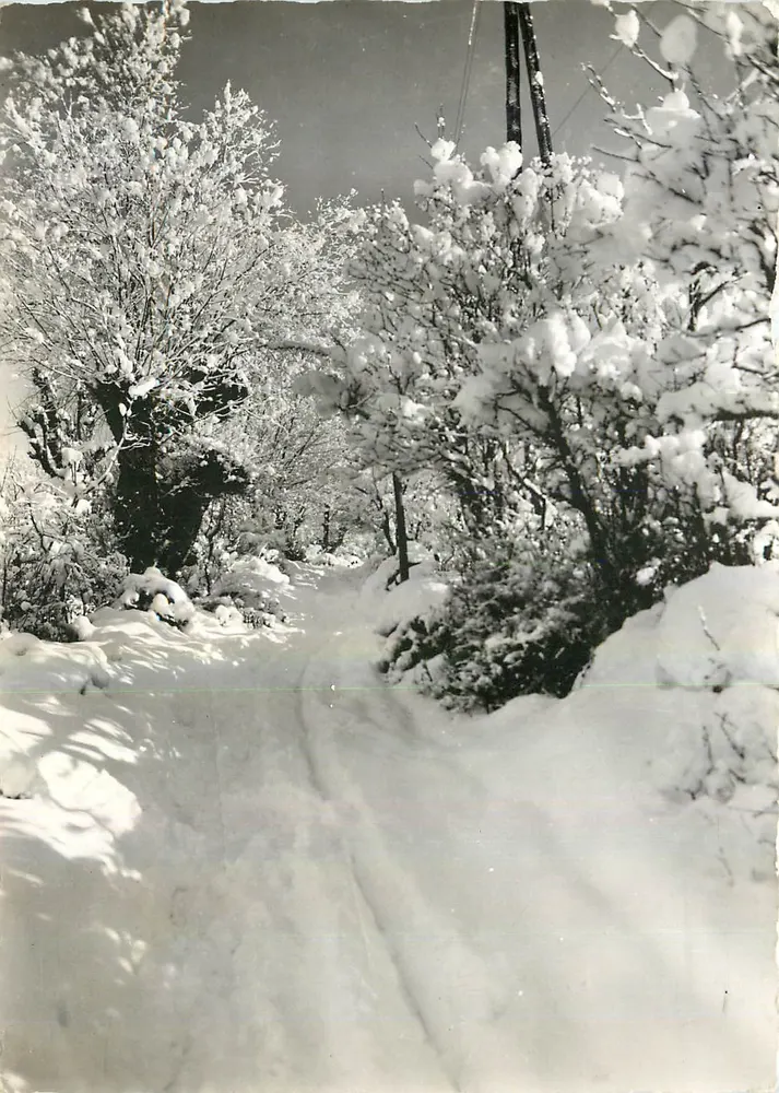 Allos (Basses-Alpes) — Unter Schnee, Straße zum See — Société Éditions de France, Marseille - Vorderseite