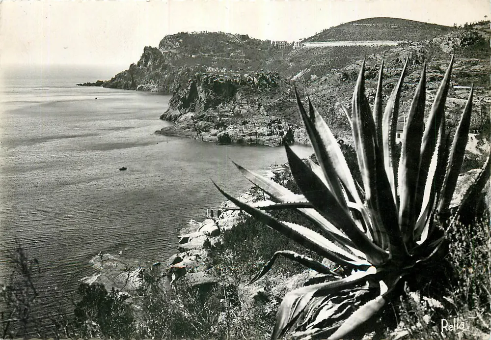 La Corniche d'Or - Théoule Supérieur (A.M.) — Éditions Rellas, série 365 - Recto