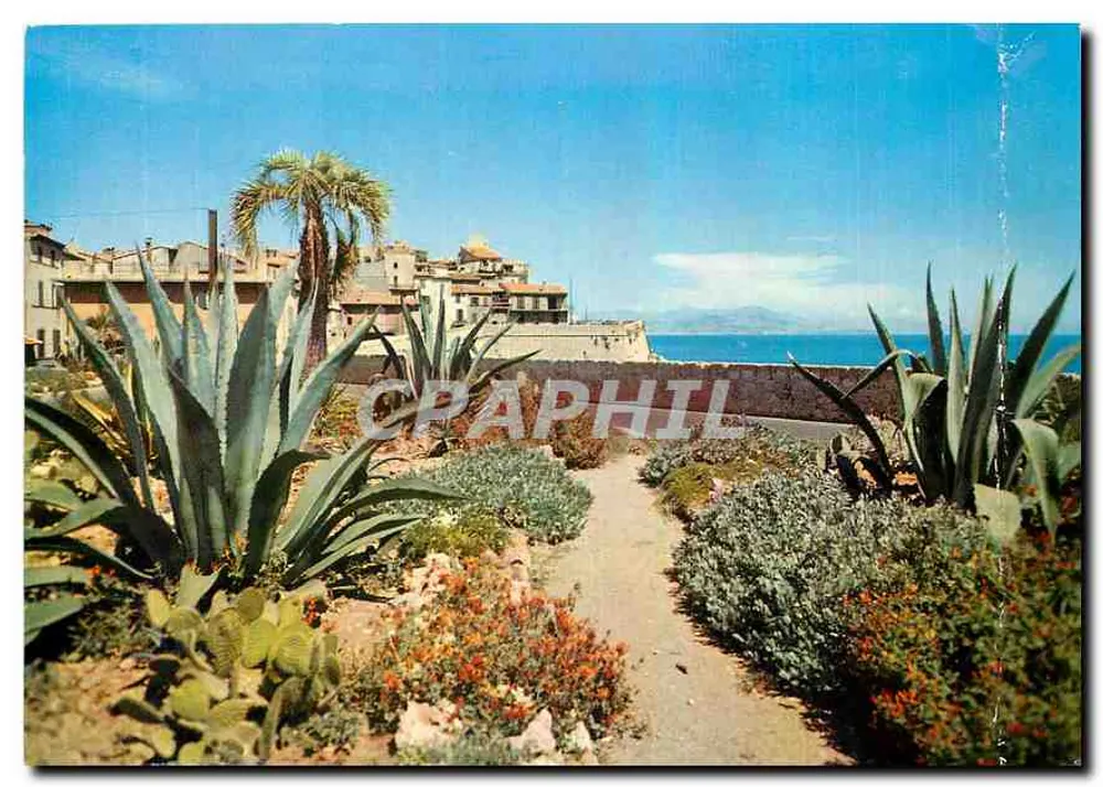 Les Remparts — Antibes — n° 105 - Awers