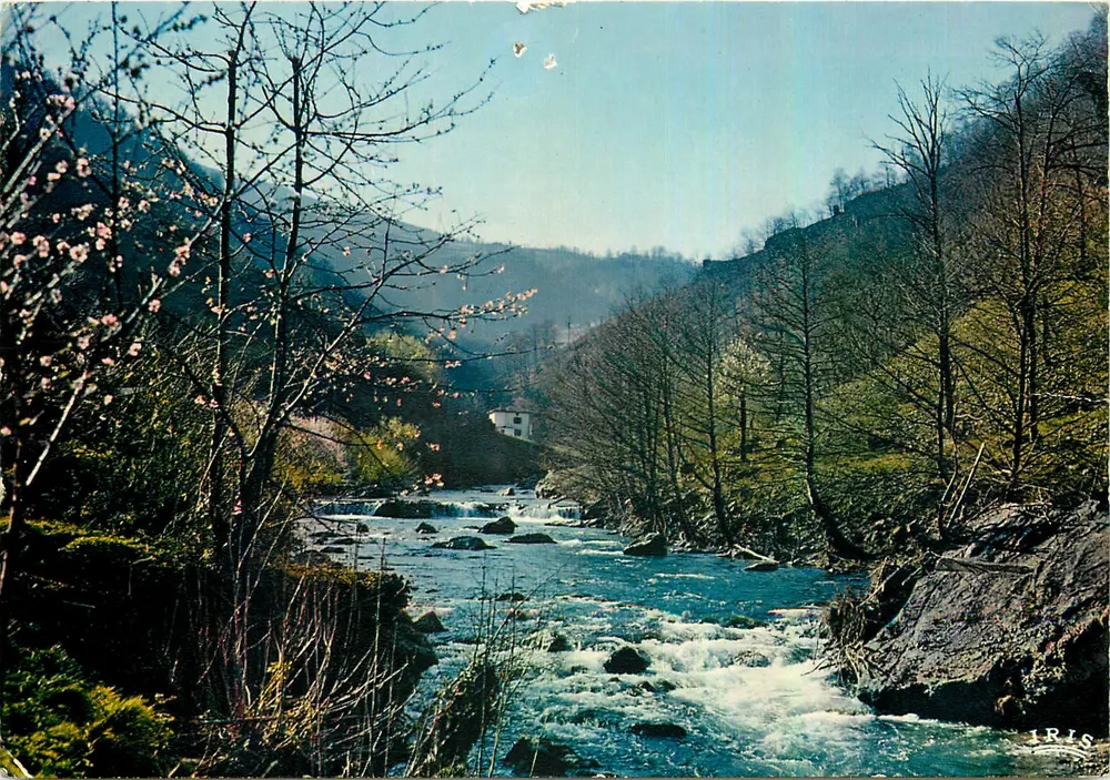 Riu em montanha — Primavera no País Basco — IRIS - Frente