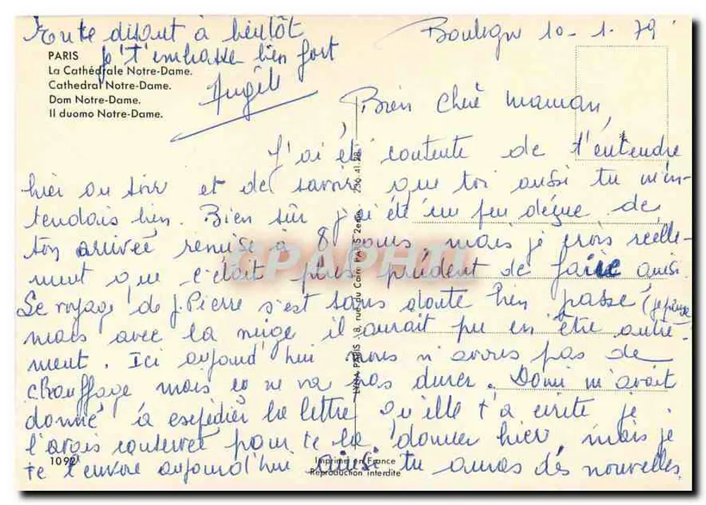 Notre-Dame de Paris — visão da fachada com jardim florido - Verso