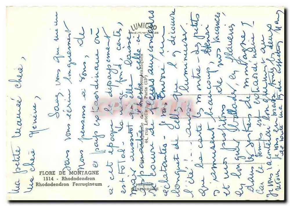 पर्वतीय फूल — रोडोडेंड्रॉन फेररुजिनियम — एडिटर लुमिको, संख्या 1514 - पीछे