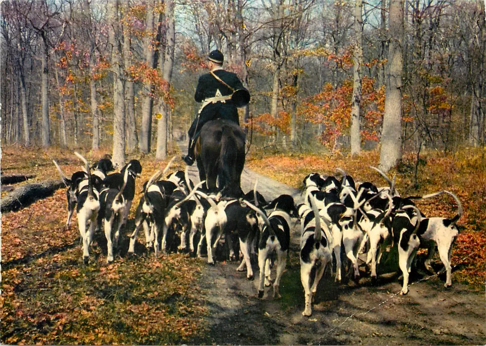 Caça à cavalo — Floresta de outono — Edição La Cigogne, Lyon - Frente