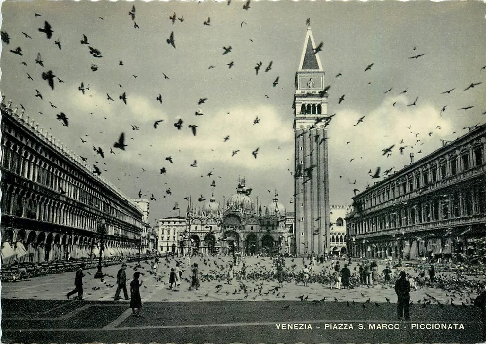 Veneza - Piazza S. Marco - Piccionata - Frente