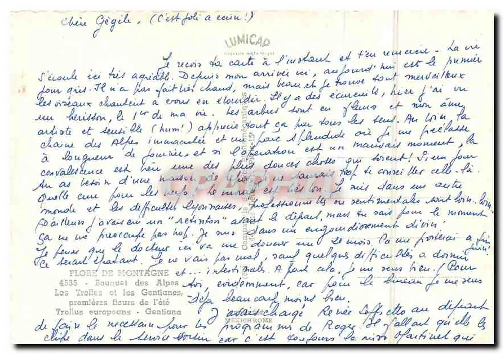 अल्पाइन फूलों का बौक्वेट — जेंटियन और ट्रोलस — एडिटर आईआरआईएस - पीछे