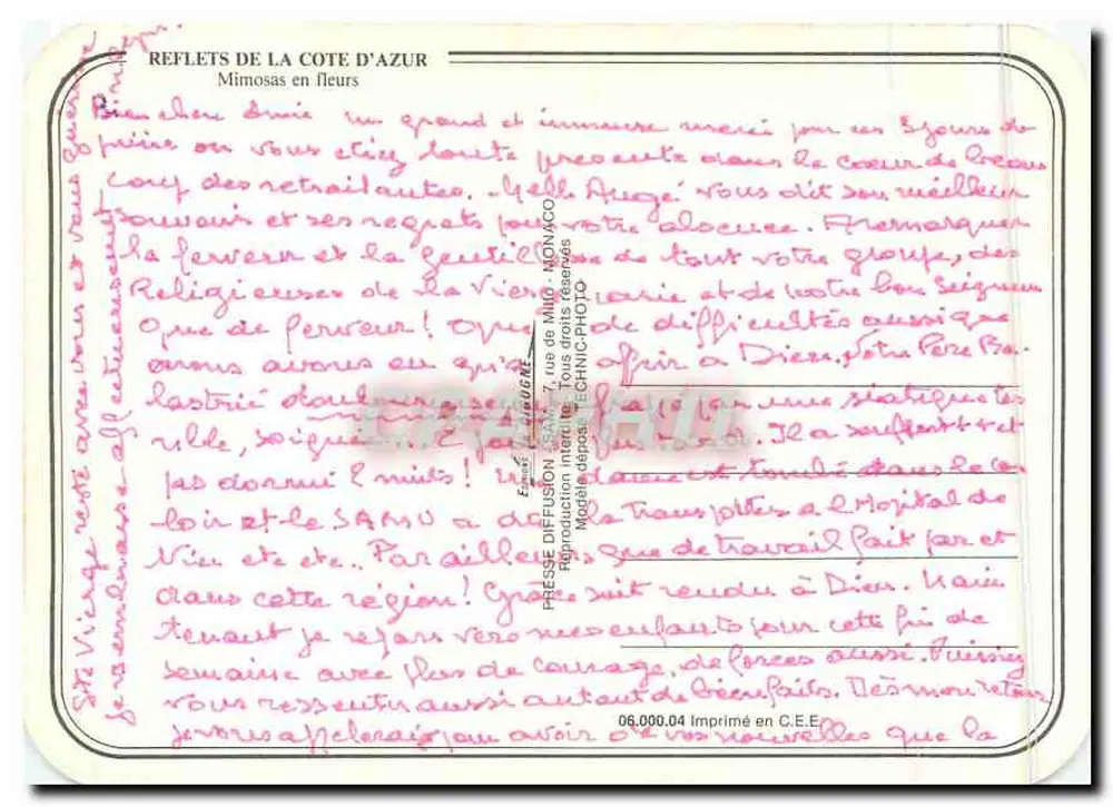 Mimosas em flor — Costa Azul — Presse Diffusion - Verso